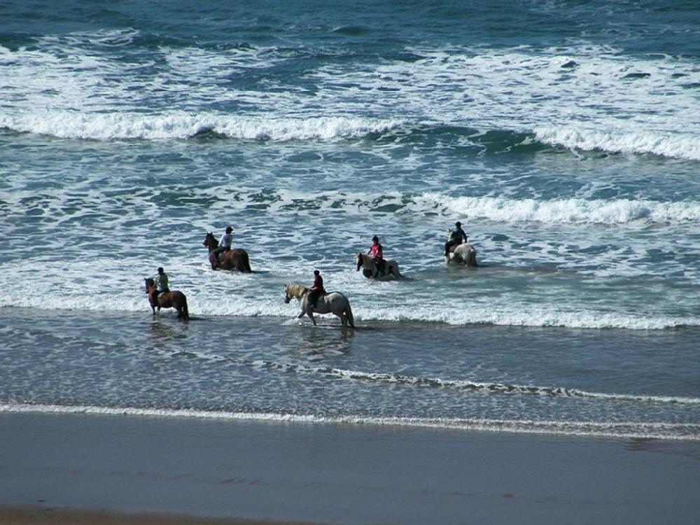 Oyster Cove Villa Croyde Bagian luar foto