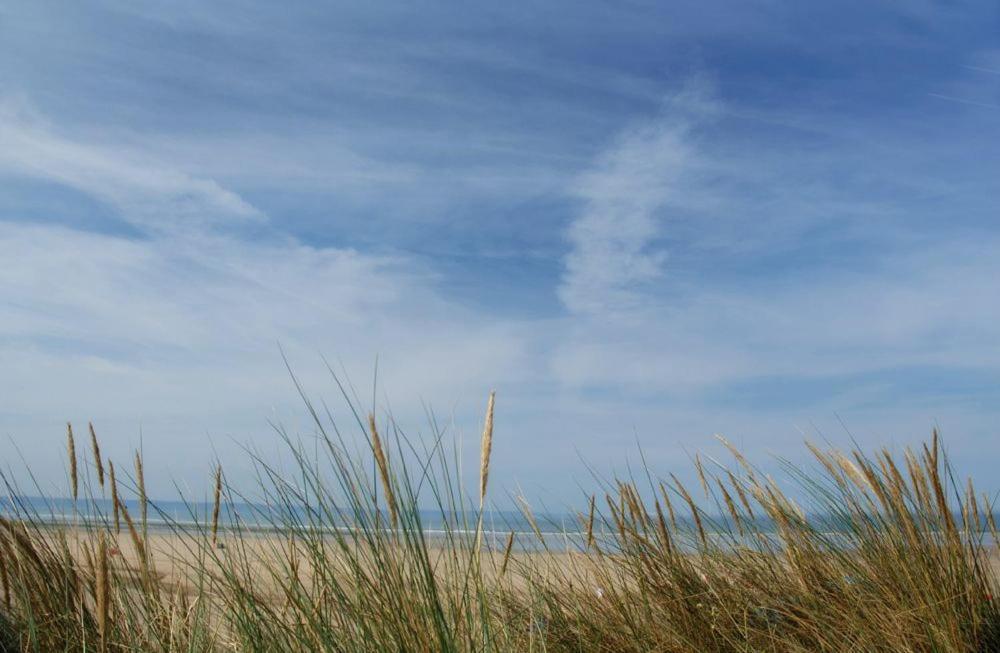 Oyster Cove Villa Croyde Bagian luar foto